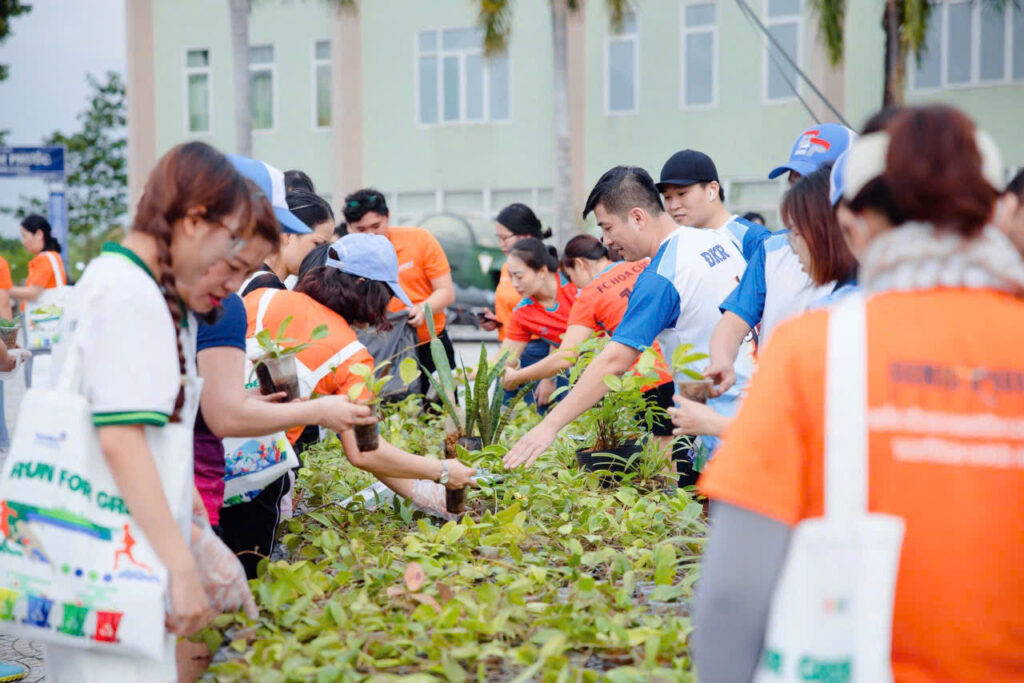 Hàng nghìn chậu cẩm cù đã được anh Phúc trao tặng trong Giải chạy bộ RUN FOR GREEN lần thứ 2, năm 2024 tại Bình Phước.